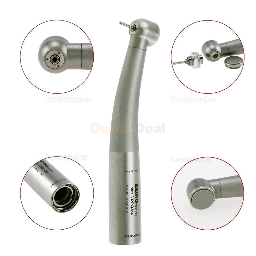 BEING 302PQ-K-Ti Dental Turbine Handpiece Fit KAVO Multiflex Lux Coupling